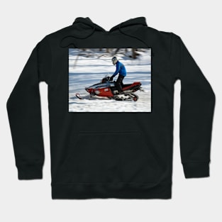 Winter Fun Hoodie